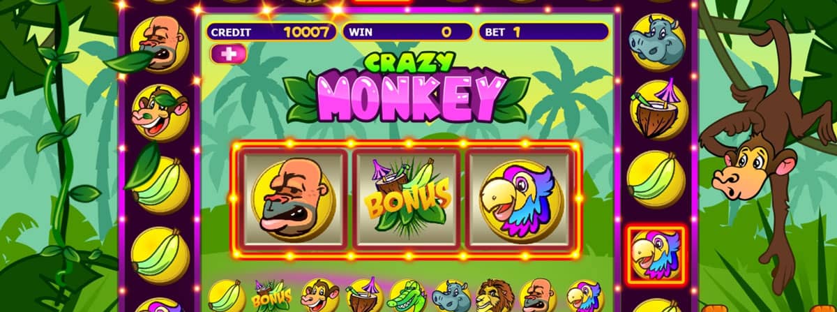 Crazy Monkey Slot Preview